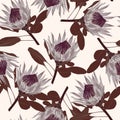 Scandinavian seamless pattern with abstrat brown protea flower. Royalty Free Stock Photo