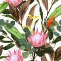 Floral Seamless Pattern with protea, strelitzia flowers and magnolia branch with leaves. Royalty Free Stock Photo