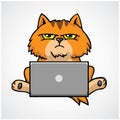Cat Grumpy Cute Working on Laptop Cartoon Vector Design Icon Illustration Royalty Free Stock Photo