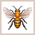 Realistic mascot drawing of bees with full of detail