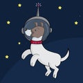 Dog astronaut in the space Royalty Free Stock Photo