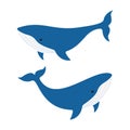 Whale blue animals set. Two sperm whale characters. Ocean huge animals. Royalty Free Stock Photo