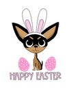 Happy Easter - cute chighuahua dog in bunny ears. Hand drawn graphic Royalty Free Stock Photo