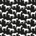 Black and white vector pattern with silhouettes of horses. Royalty Free Stock Photo