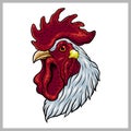 Realistic mascot drawing of rooster with full of detail