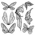 Fairy Insect Butterfly Wing Vector Art Collection