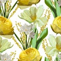 Flowers of Spring mimosa, daffodils, roses and tulips on a white background. Seamless pattern. Royalty Free Stock Photo