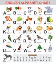 ABC Chart. English Alphabets Calendar