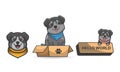 Cute illustration set of dogs wearing bandanas