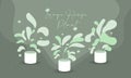 Large house plant illustration Royalty Free Stock Photo