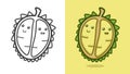 Illustration vector graphic cartoon character of cute durian in kawaii doodle style.