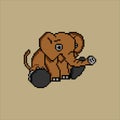 Elephant with pixel art.