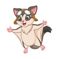 Cartoon sugar glider on white background Royalty Free Stock Photo