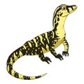 Cartoon varanus salvator on white background Royalty Free Stock Photo