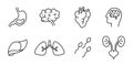 human body parts. set of human organ icon illustration design. Royalty Free Stock Photo