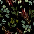 Seamless pattern with Eucalyptus Silver Dollar, leucadendron on a black background. Royalty Free Stock Photo