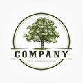 GREEN OAK TREE LOGO Royalty Free Stock Photo