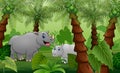 A mother rhino with cubs playing in the palm jungle Royalty Free Stock Photo