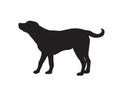 Labrador retriever dog. Vector black and white silhouette. Royalty Free Stock Photo