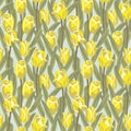 Tulip watercolor floral seamless vector pattern