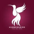 flying hummingbird logo with wings and tail dance