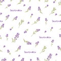 Seamless decorative elegant pattern with brushes of lavender flowers.