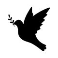 Dove black silhouette. Flying bird with brunch. Symbol of peace.