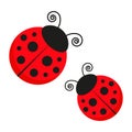 Ladybugs icon group. Cute ladybirds set.