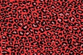 Animal skin pattern seamless. Design for fabric, wallpaper, wrapping, background. repeating texture leopard red pink black Royalty Free Stock Photo