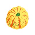 Colourful Sweet Dumpling Squash gourd Royalty Free Stock Photo