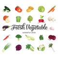 beautiful fresh vegetable isolated on white and white background