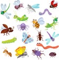 Funny bugs and other insects, pattern