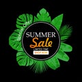 Summer sale banner design with organic product label concept