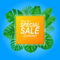 Vector illustration summer sale poster promotion with eco friendly sign Royalty Free Stock Photo