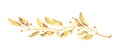 Golden branch of laurel victory honour symbol