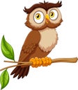 Cartoon funny owl on tree branch Royalty Free Stock Photo