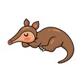 Cute little aardvark cartoon sleeping Royalty Free Stock Photo