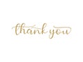 Thank You Card. Gold Text Hand Drawn Calligraphy Lettering isolated On White Background. Flat Vector Illustration Design Template Royalty Free Stock Photo