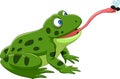 Cartoon frog catching a fly Royalty Free Stock Photo