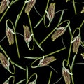Seamless pattern with flower imperial fritillary Fritillaria. Illustration on black background.