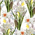 Flowers of Spring fritillary, daffodils and tulips on a white background. Seamless pattern. Royalty Free Stock Photo