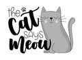 The cat says meow -  funny slogan with cute hand drawn cat Royalty Free Stock Photo