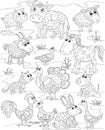 Funny village animals, pattern, various poses and situations, drawing, vector, images, cartoon