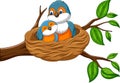 Cartoon mother bird with her baby in the nest