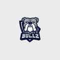 Bulldog Team Mascot Vector Logo, Muscular Bulldog with Bat Mascot Vector Illustration Royalty Free Stock Photo