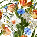 Seamless pattern with orange blue flowers, tulips, comomile, daffodils on a white background. Royalty Free Stock Photo