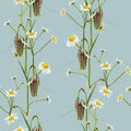 Meadow wildflower seamless pattern. Botanical camomile, fritillary Fritillaria background.