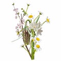 Set of Chamomile Daisy bouquets, white flowers, buds, green leaves, fritillary Fritillaria.