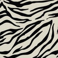 Abstract color zebra, tiger skin design. Animal skin texture seamless pattern. Royalty Free Stock Photo