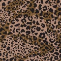 Leopard print. Abstract vector seamless pattern